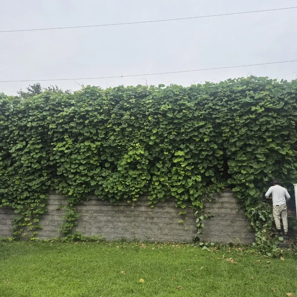 Top-rated outdoor landscaping for outdoor upgrades in King of Prussia, PA by Lagos Landscaping Design