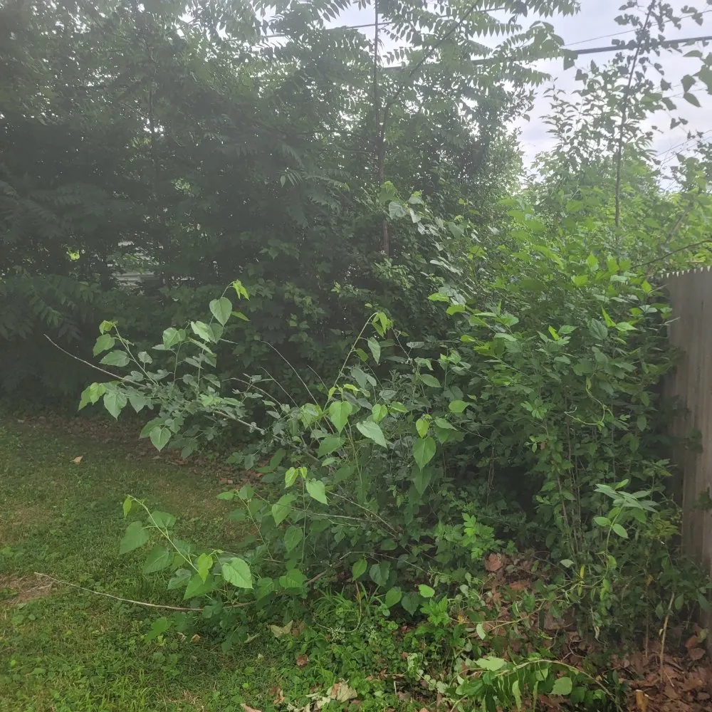 Professional outdoor landscaping in King of Prussia, PA - Lagos Landscaping Design