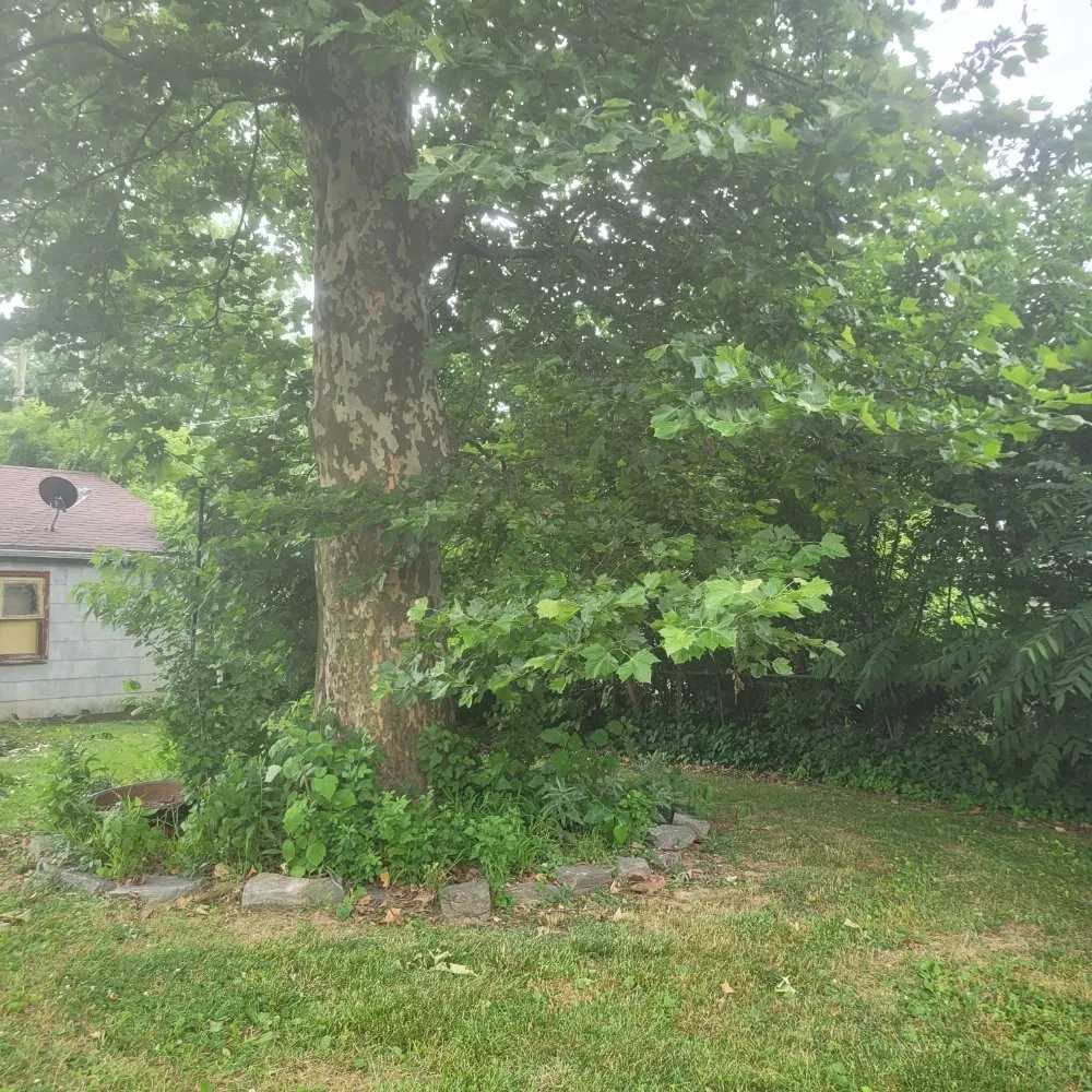 Professional lawn mowing service experts serving King of Prussia, PA - Lagos Landscaping Design