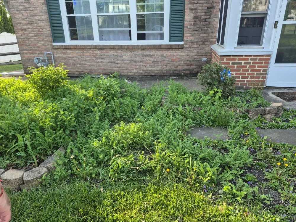 Custom outdoor landscaping with custom design across King of Prussia, PA - Lagos Landscaping Design