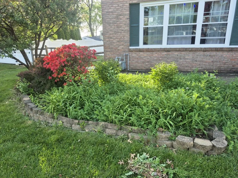 Affordable yard cleanup service in King of Prussia, PA by Lagos Landscaping Design
