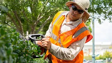 Reliable lawn mowing service for outdoor upgrades across Lagrangeville, NY - Lagrangeville Lawn Care Pros