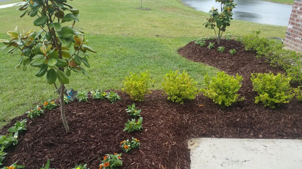 Affordable outdoor landscaping for year-round maintenance across Baton Rouge, LA - Lagreen Landscape