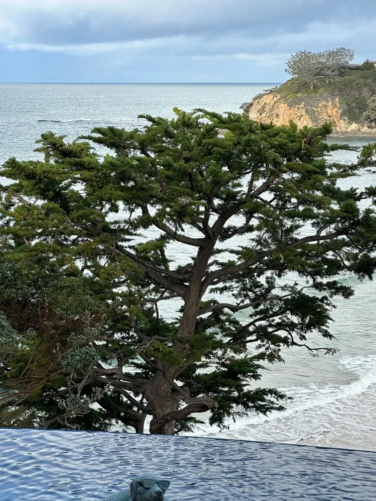 Expert outdoor landscaping for residential properties across Laguna Beach, CA - Laguna Tree Service & landscaping