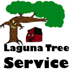 Expert yard cleanup service experts serving Laguna Beach, CA - Laguna Tree Service & landscaping