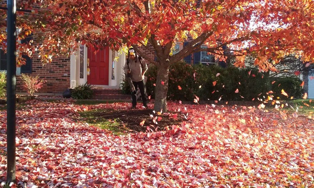 Custom landscape installation for outdoor upgrades in Hanover Park, IL by Lagunas Landscaping