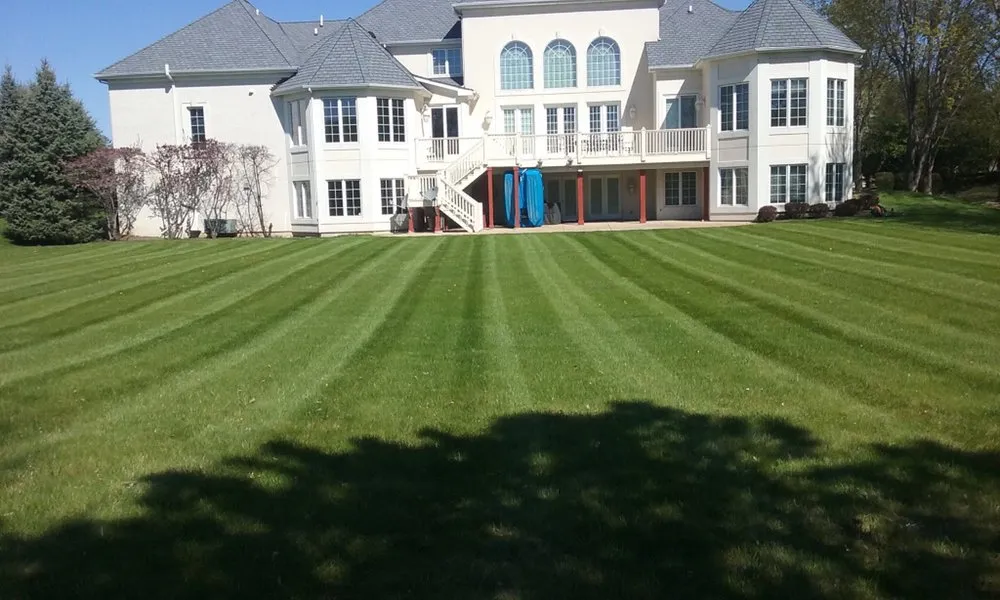 Local yard cleanup service experts serving Hanover Park, IL - Lagunas Landscaping