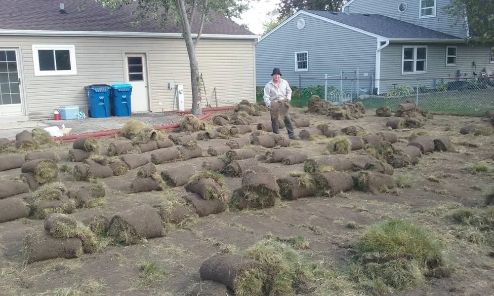 Expert landscape installation for outdoor upgrades across Hanover Park, IL - Lagunas Landscaping