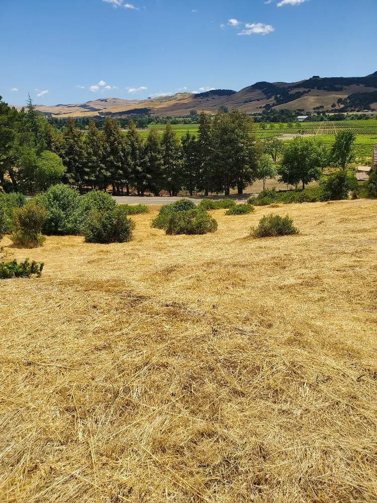 Reliable landscaping services experts serving Fairfield, CA - Laguna's Landscaping Service