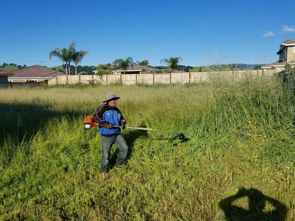 Trusted garden landscaping for outdoor upgrades across Fairfield, CA - Laguna's Landscaping Service