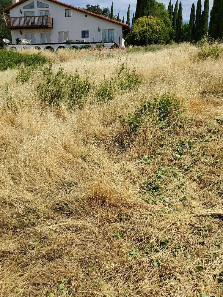 Professional landscape installation in Fairfield, CA - Laguna's Landscaping Service