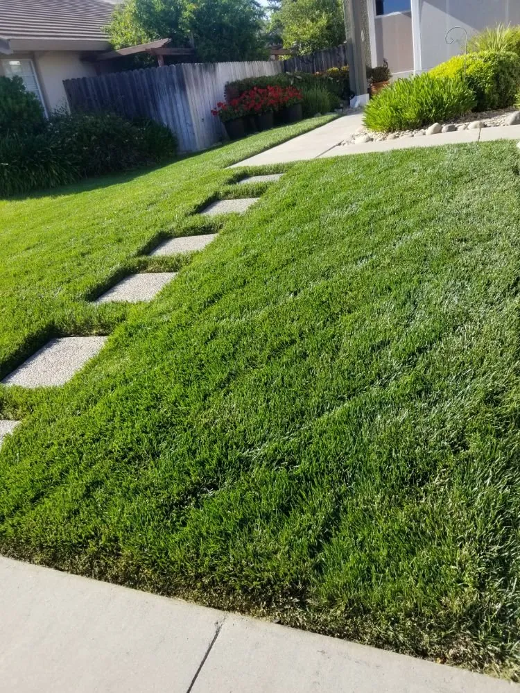 Local garden landscaping in Fairfield, CA - Laguna's Landscaping Service