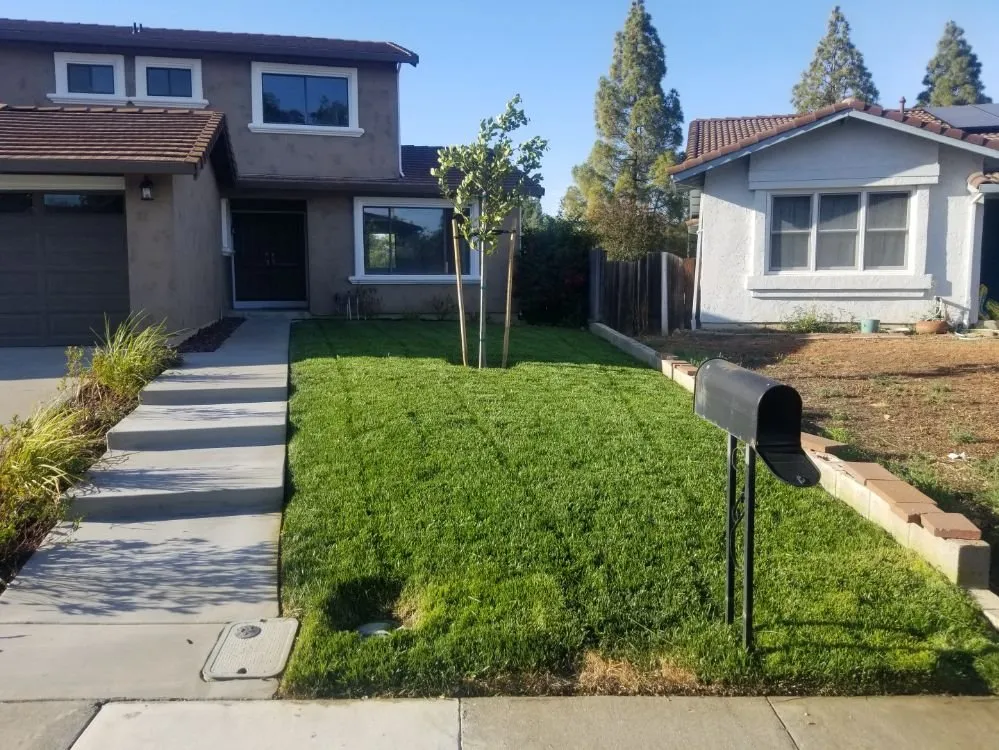 Expert lawn care service in Fairfield, CA - Laguna's Landscaping Service
