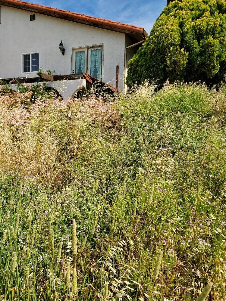 Professional yard maintenance in Fairfield, CA - Laguna's Landscaping Service