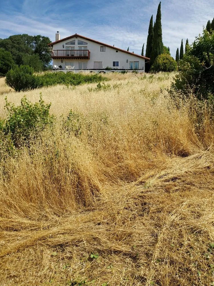 Affordable yard cleanup service with custom design across Fairfield, CA - Laguna's Landscaping Service