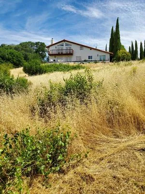 Laguna's Landscaping Service Logo