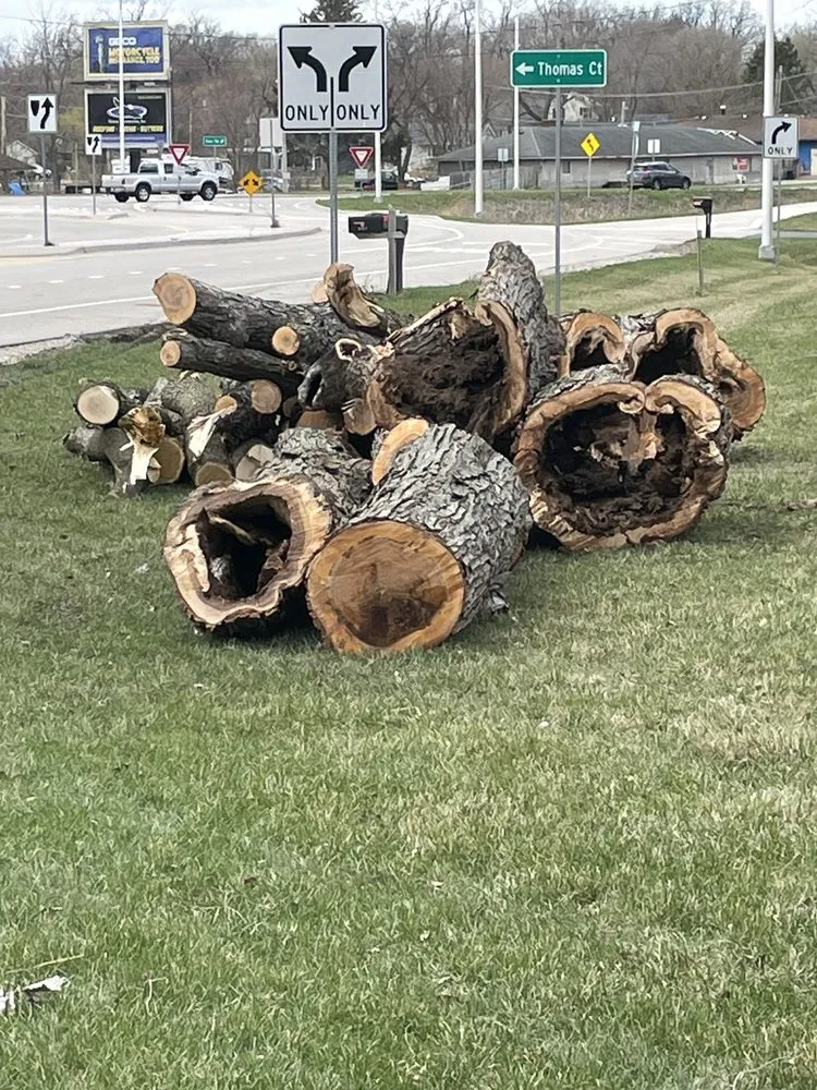 Local yard maintenance experts serving Round Lake Beach, IL - Lagunas Tree Service