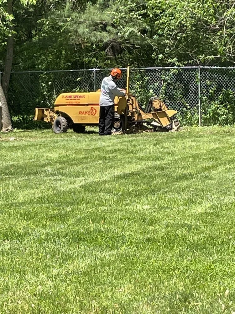 Trusted outdoor landscaping for residential properties across Round Lake Beach, IL - Lagunas Tree Service