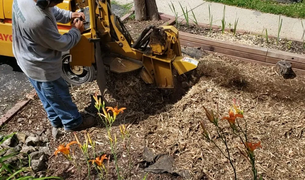 Affordable lawn mowing service in Round Lake Beach, IL - Lagunas Tree Service