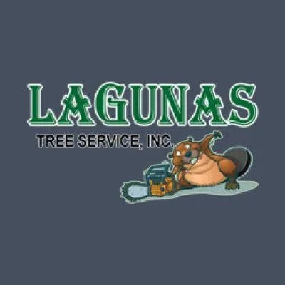 Professional lawn care service experts serving Round Lake Beach, IL - Lagunas Tree Service