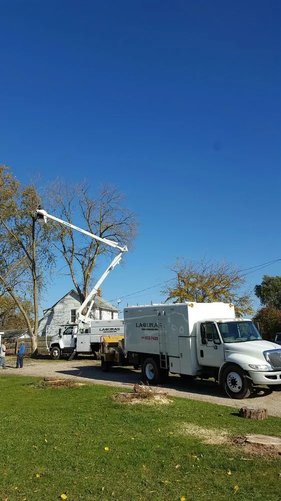 Affordable residential landscaping near you across Round Lake Beach, IL - Lagunas Tree Service