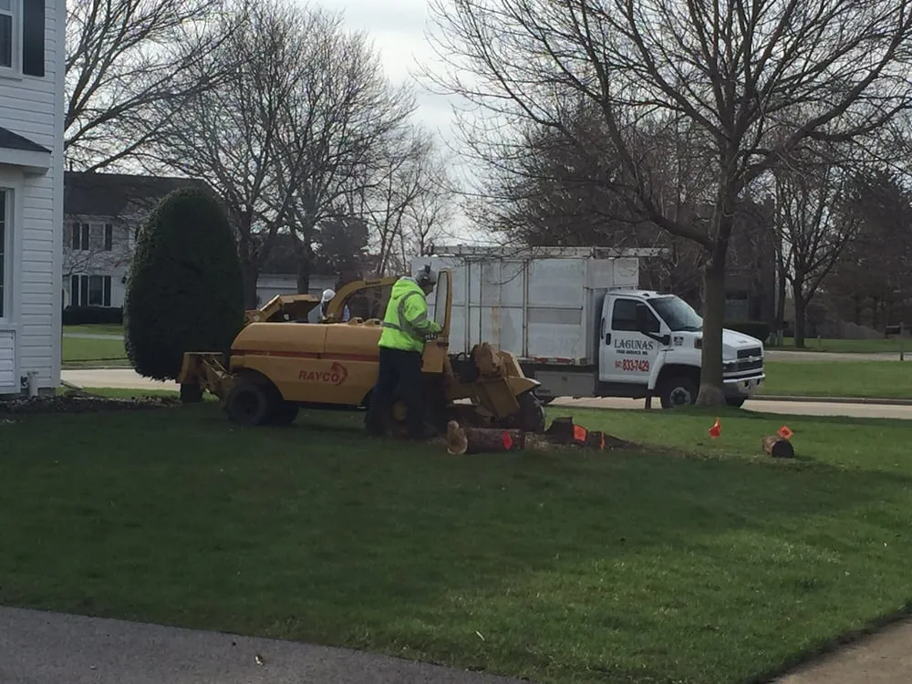 Expert landscape installation experts serving Round Lake Beach, IL - Lagunas Tree Service