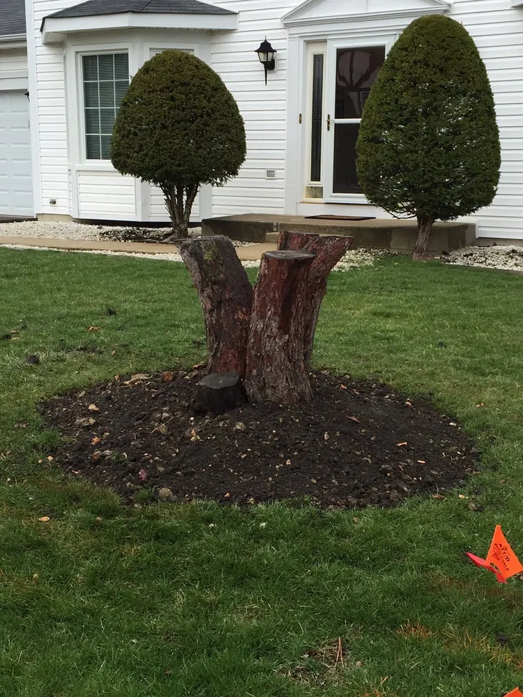 Reliable yard maintenance in Round Lake Beach, IL - Lagunas Tree Service