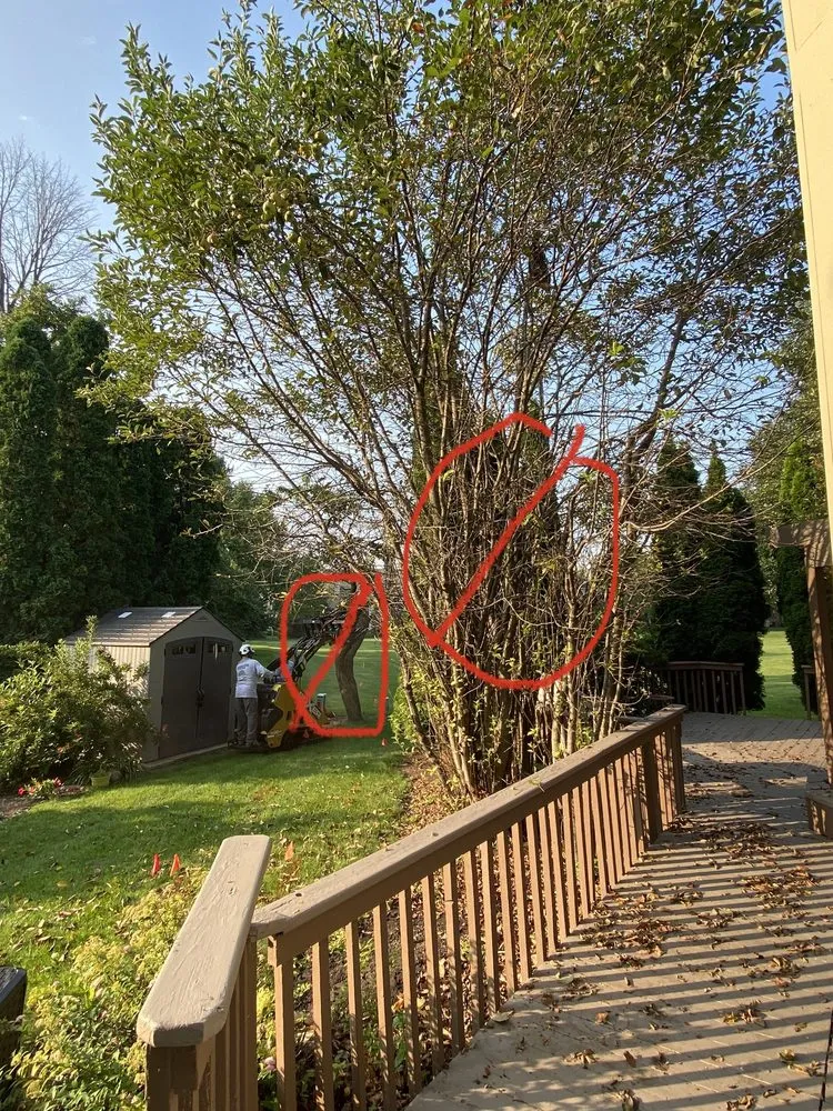 Trusted lawn mowing service in Round Lake Beach, IL - Lagunas Tree Service