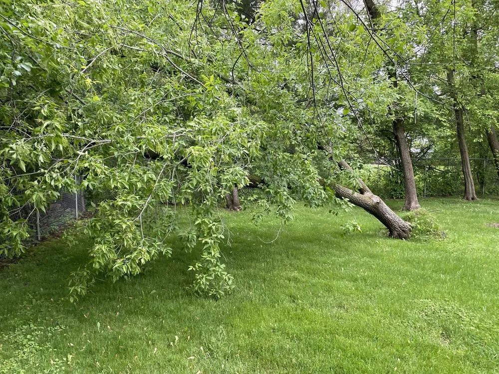 Local lawn care service near you in Round Lake Beach, IL by Lagunas Tree Service