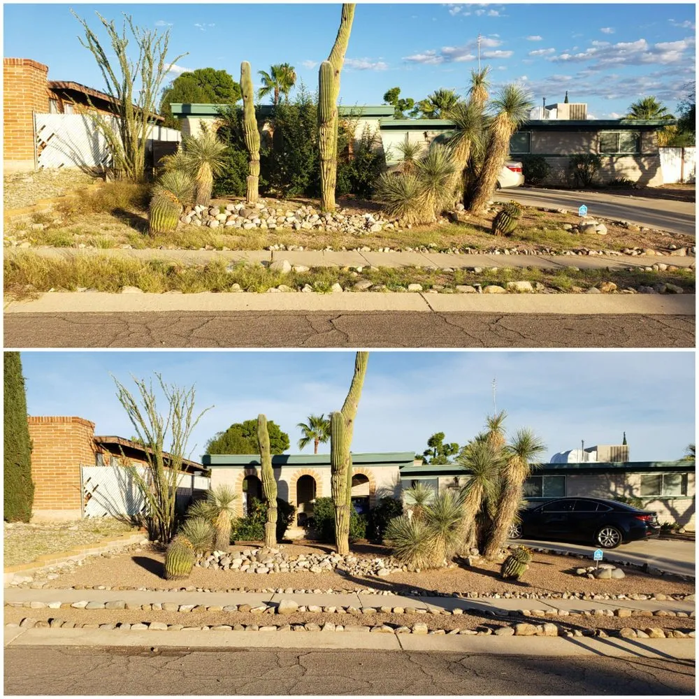 Trusted landscaping services in Tucson, AZ - Lahargoue Landscaping
