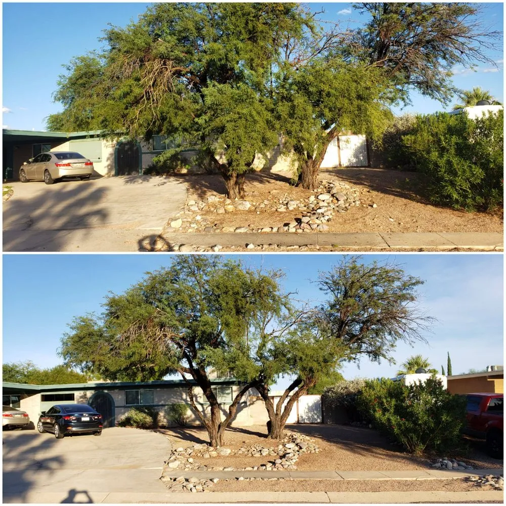 Local lawn care service in Tucson, AZ - Lahargoue Landscaping