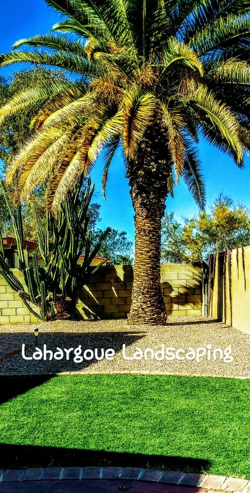 Custom yard cleanup service in Tucson, AZ - Lahargoue Landscaping