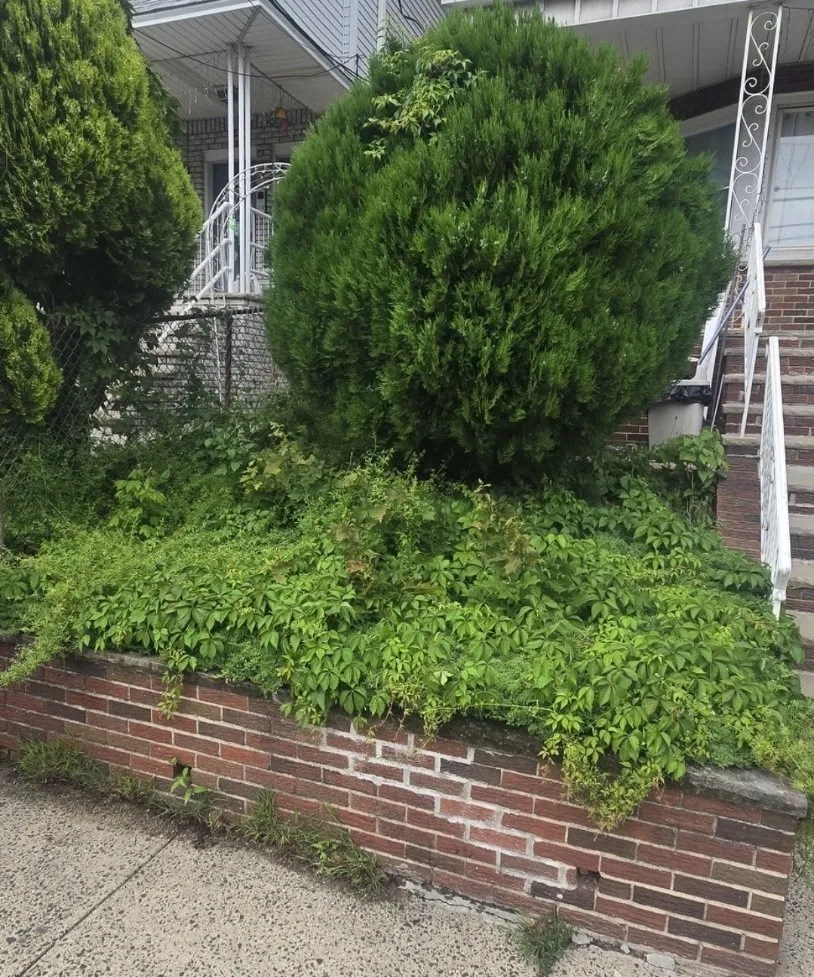 Reliable yard cleanup service experts serving Jersey City, NJ - Lahwah Landscaping