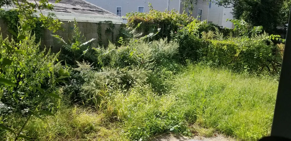 Local landscape design for year-round maintenance across Jersey City, NJ - Lahwah Landscaping