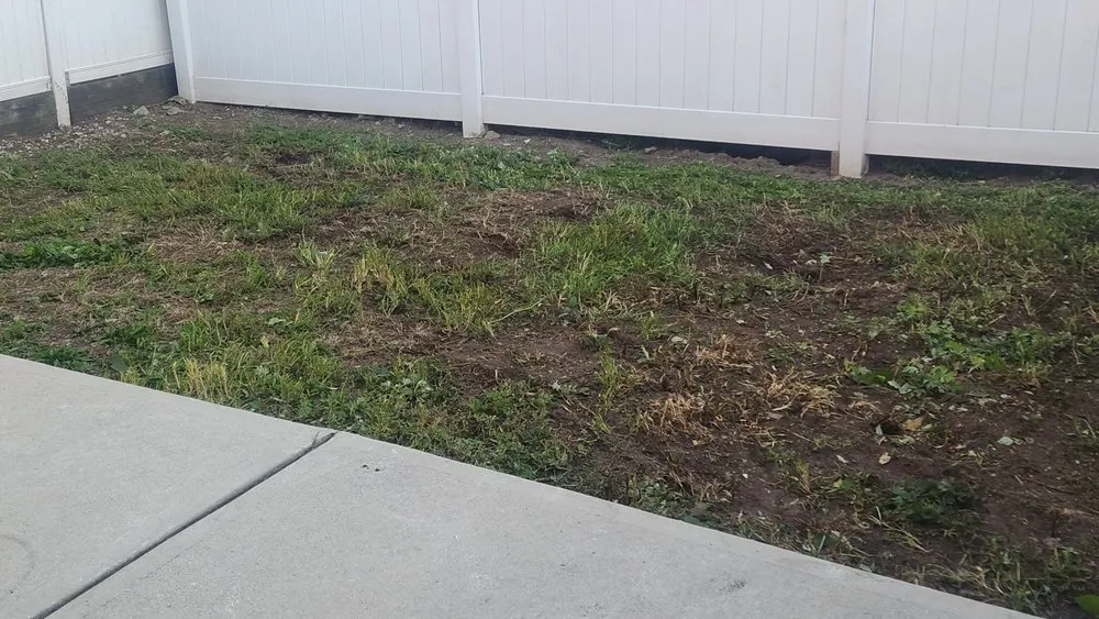 Top-rated landscape installation experts serving Jersey City, NJ - Lahwah Landscaping