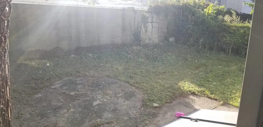 Trusted landscape installation for year-round maintenance in Jersey City, NJ by Lahwah Landscaping