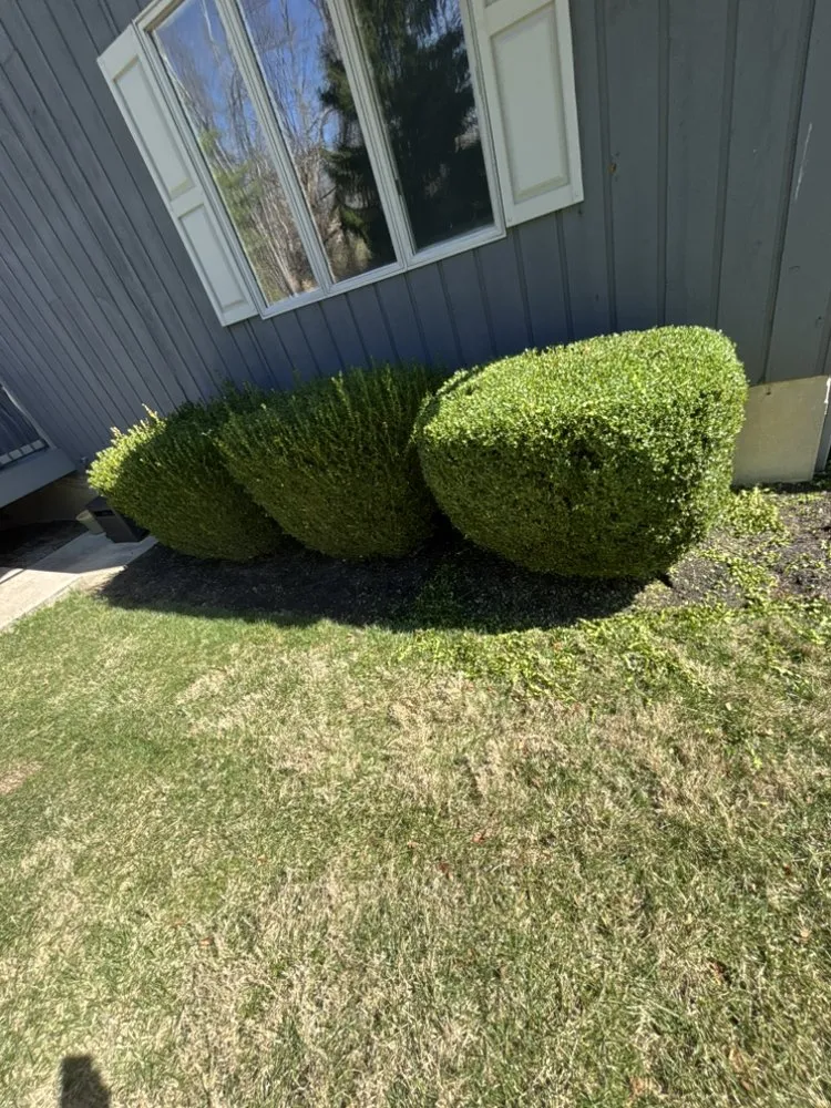 Top-rated landscape design in Cincinnati, OH by Laib Land and Lawn