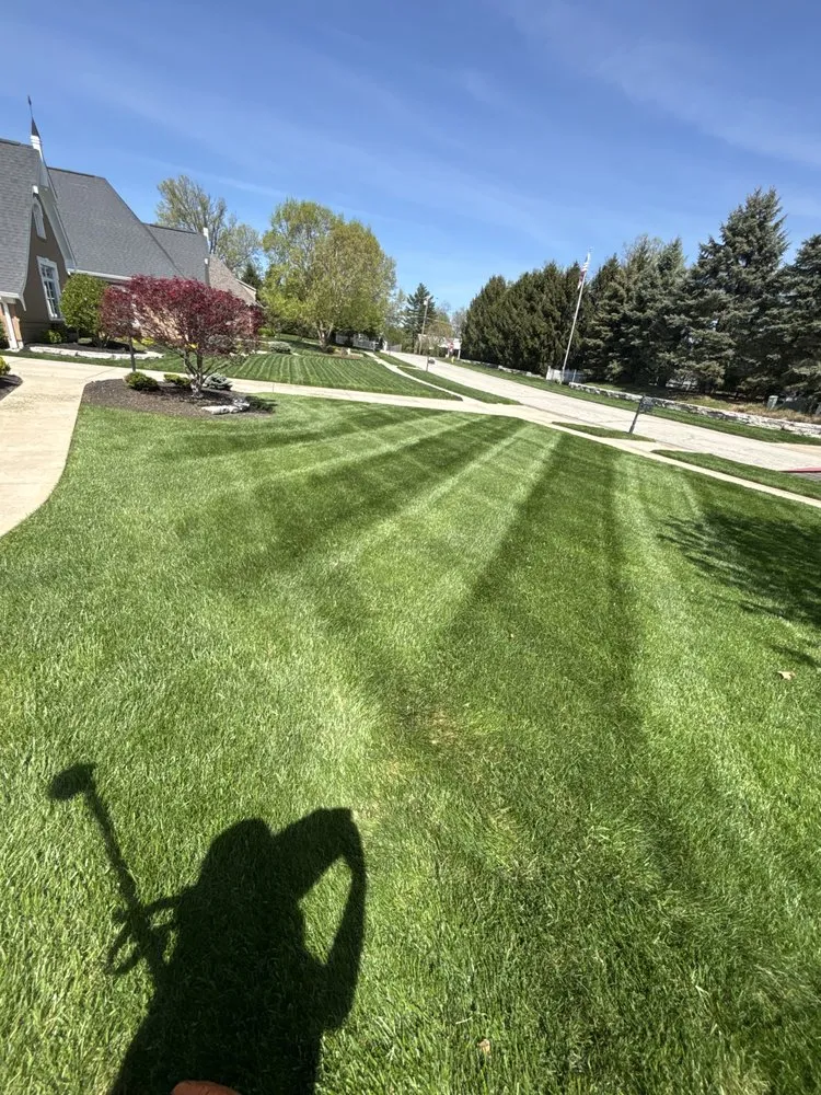 Custom landscape installation experts serving Cincinnati, OH - Laib Land and Lawn