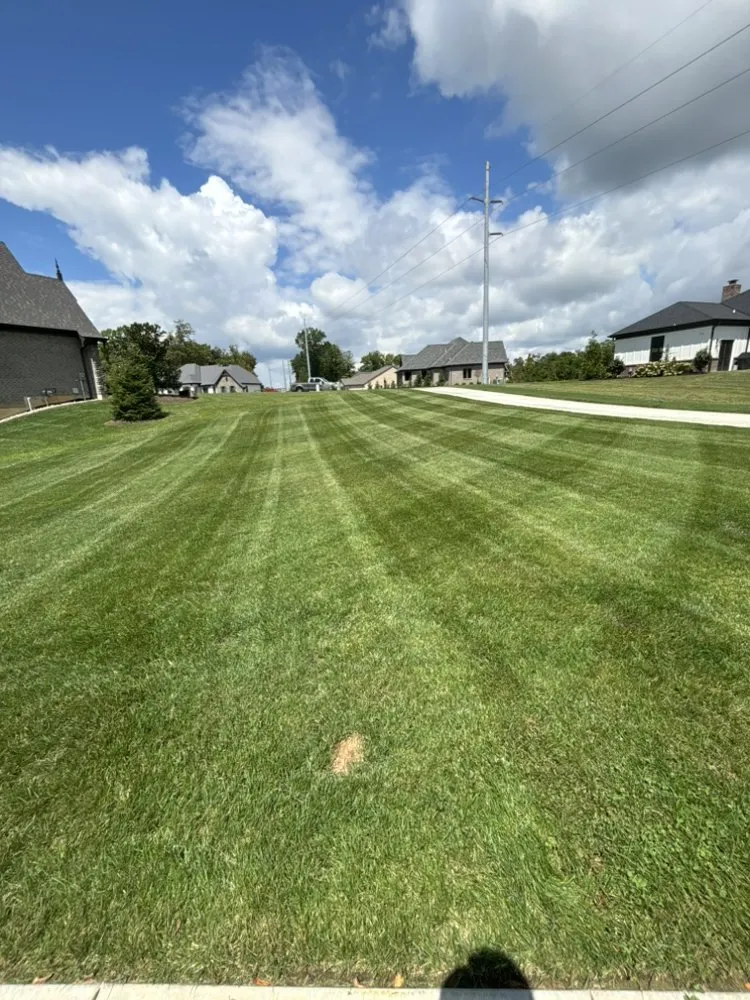 Top-rated yard cleanup service for beautiful yards in Cincinnati, OH by Laib Land and Lawn