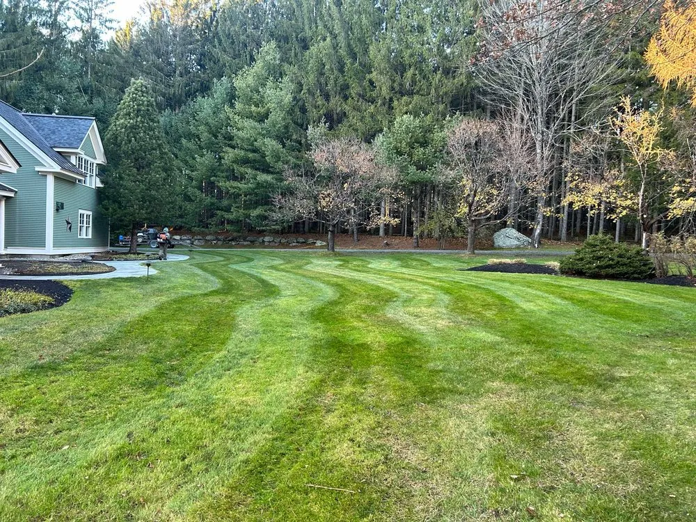 Local landscaping services for beautiful yards across Wolcott, VT - Laines Property Maintenace
