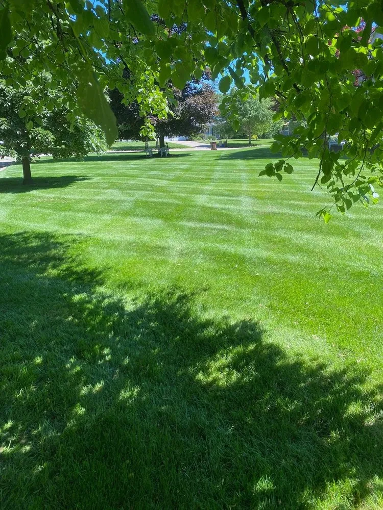 Expert lawn care service for homes across Kent, OH - Lainey’s Cuts