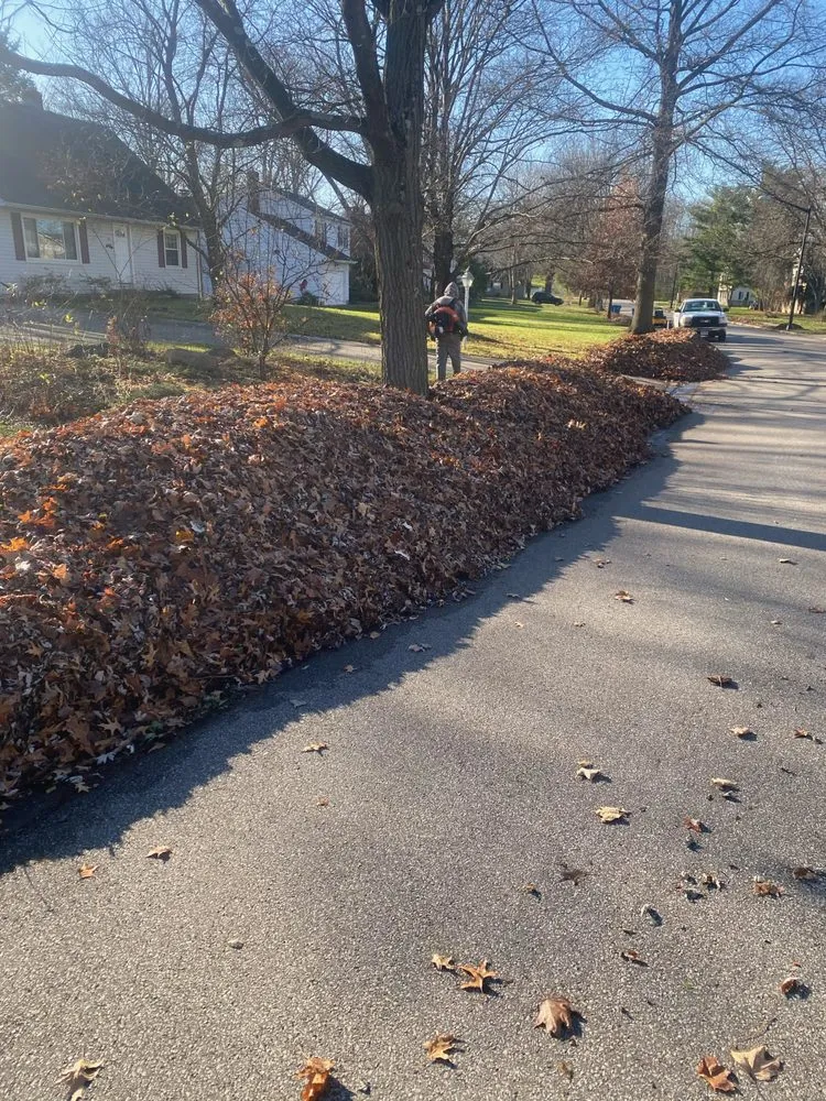 Affordable garden landscaping in Kent, OH by Lainey’s Cuts