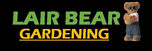 Expert landscape design in Chanute, KS - Lair Bear Home Innovations