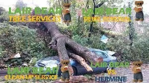 Affordable landscape design for beautiful yards across Chanute, KS - Lair Bear Home Innovations