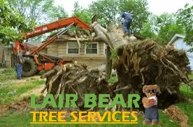 Expert garden landscaping in Chanute, KS - Lair Bear Home Innovations