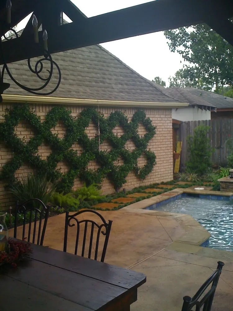 Local yard cleanup service experts serving Houston, TX - Laird Landscaping