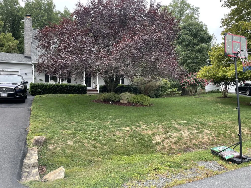 Professional outdoor landscaping in Ranson, WV by Lairds Lawn Care Solutions