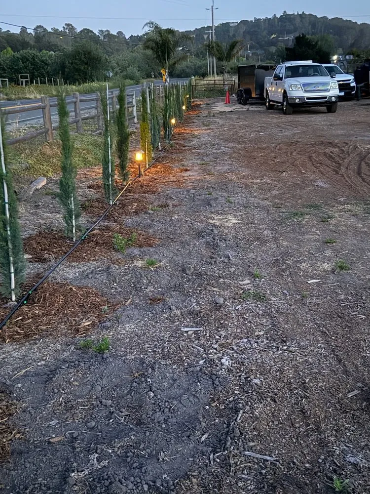 Professional landscape installation experts serving Grover Beach, CA - LAJ Gardening