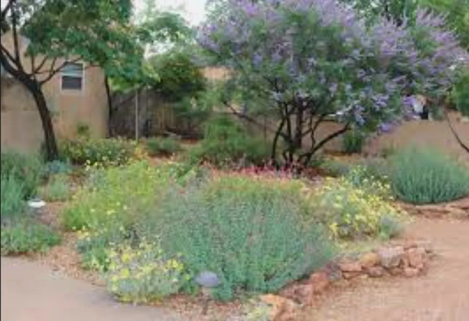 Reliable lawn care service near you across Edgewood, NM - Lajeunesse Landscapes