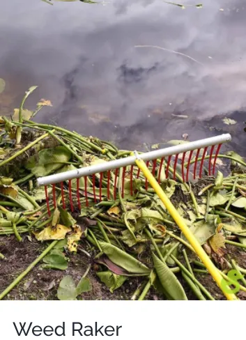 Trusted landscape design in Sarasota, FL by Lake & Lawn